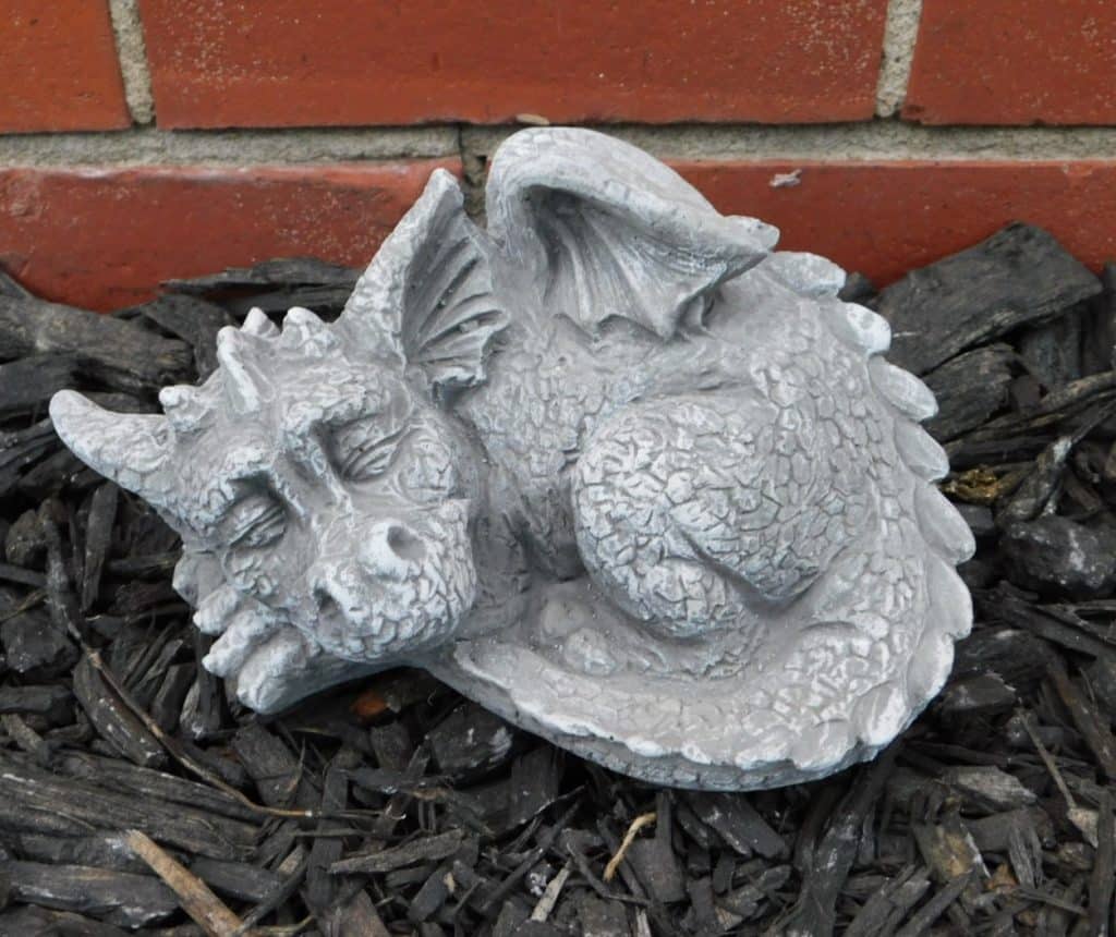 Small Curled Dragon | Smith Garden Center