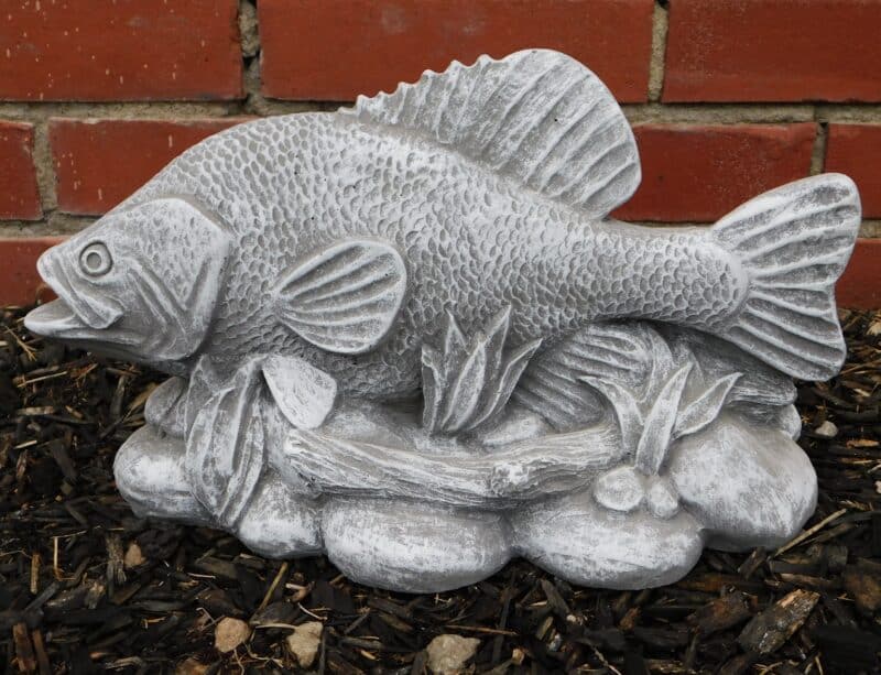 Crappie
