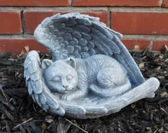 Cat in Wings
